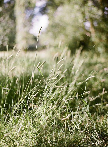 Natasha Hurley Photography Wedding Inspiration
