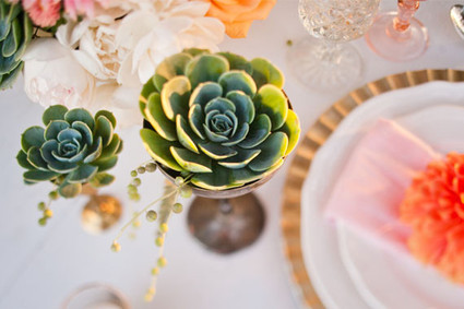 Modern, Rustic Wedding Inspiration