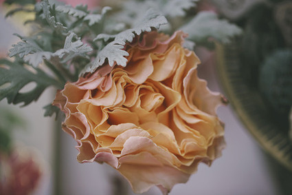 Bohemian Southern California wedding Wedding Inspiration