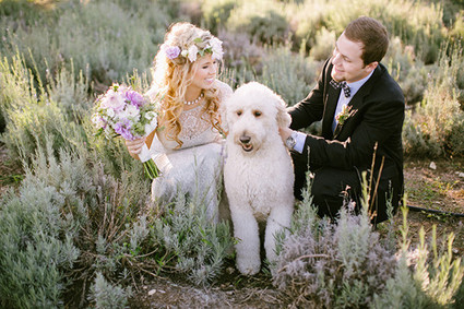 Lavender farm inspiration wedding portrait