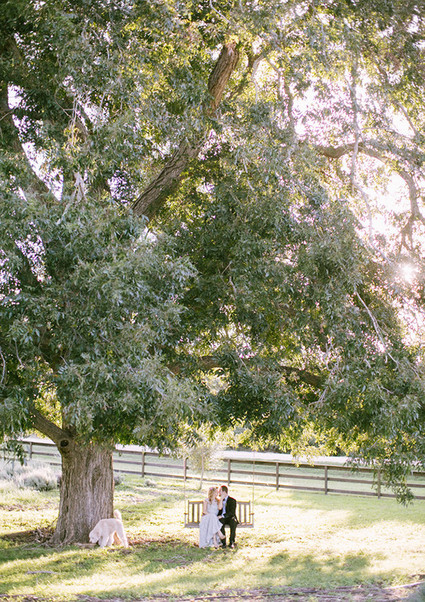 Lavender farm inspiration wedding portrait
