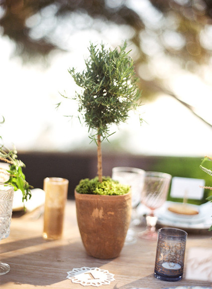 Jesi Haack Wedding Inspiration