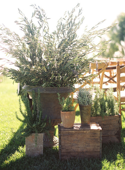 Jesi Haack Wedding Inspiration