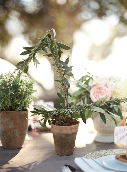 Jesi Haack Wedding Inspiration
