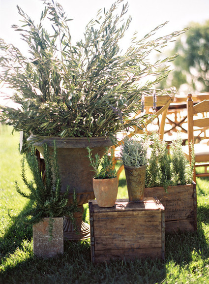 Jesi Haack Wedding Inspiration