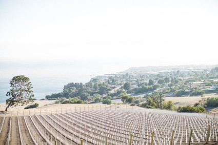 Braedon Flynn Photography Wedding Inspiration