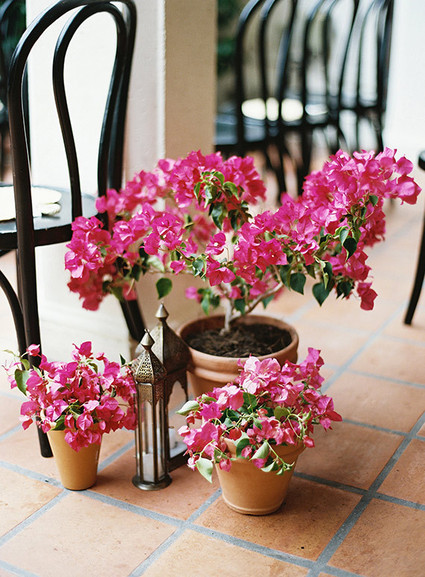 Moroccan themed wedding Wedding Inspiration