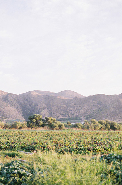 Elegant California garden wedding Wedding Inspiration