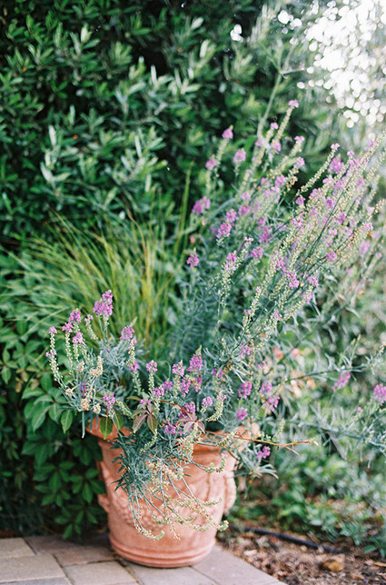 Elegant California garden wedding Wedding Inspiration