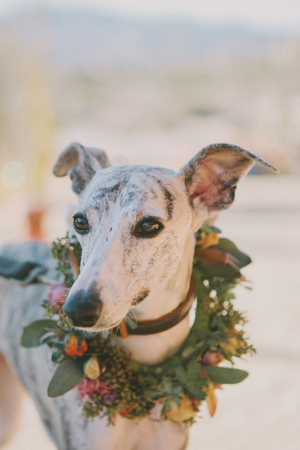 Hello Gem Wedding Inspiration