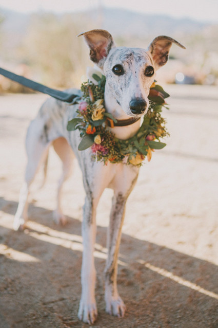 Hello Gem Wedding Inspiration