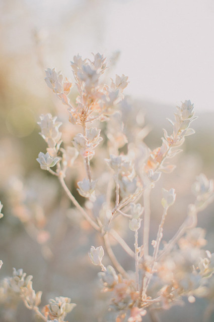Hello Gem Wedding Inspiration