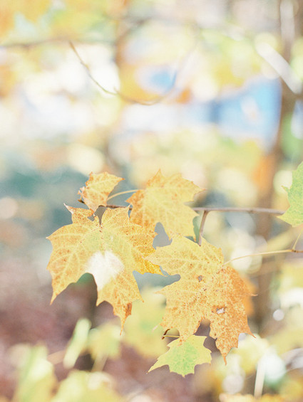 Fall Inspiration