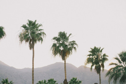 Fondly Forever Photography Wedding Inspiration