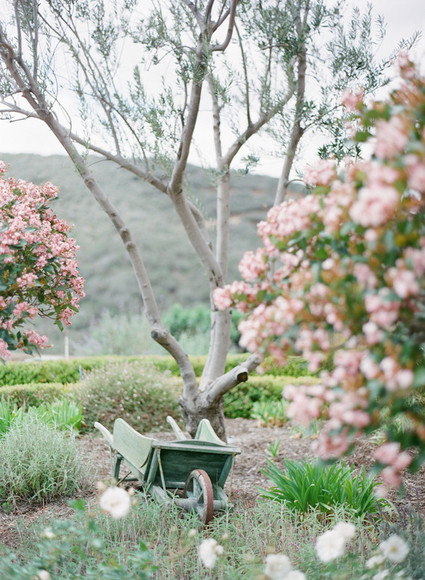 Cal A Vie Wedding Inspiration