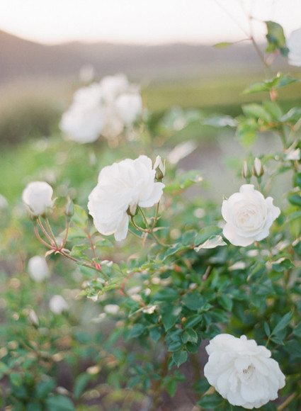 Cal A Vie Wedding Inspiration
