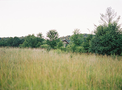 Tec Petaja Wedding Inspiration