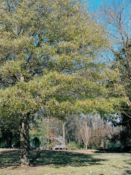 botanical garden wedding inspiration Wedding Inspiration