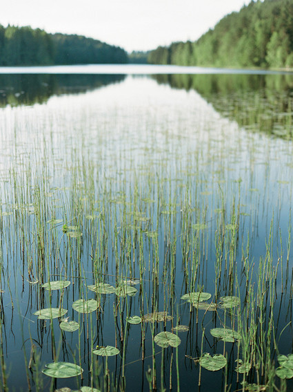 Lakeside early summer maternity photos in Karelia Russia | Ksenia Milushkina Photography | 100 Layer Cakelet Inspiration