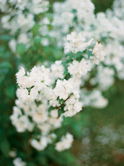 Lakeside early summer maternity photos in Karelia Russia | Ksenia Milushkina Photography | 100 Layer Cakelet