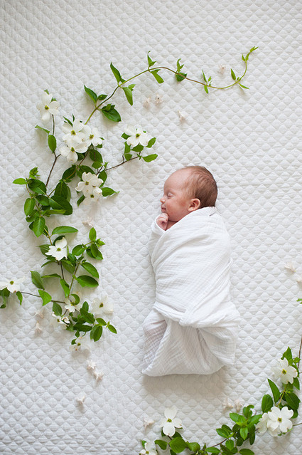 Spring floral newborn photos by Matt & Julie Weddings | Flowers by Bows and Arrows | 100 Layer Cakelet Inspiration