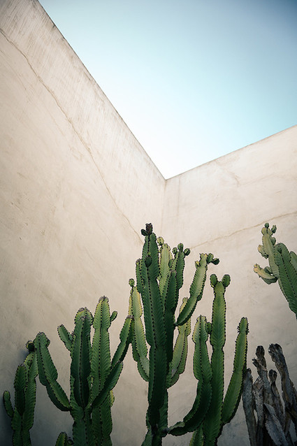 Modern Philip Dixon house wedding