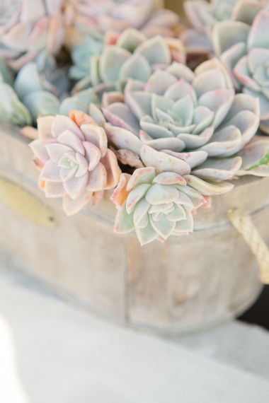 Carolien and Ben Photography Wedding Inspiration