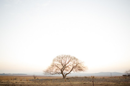 Carolien and Ben Photography Wedding Inspiration