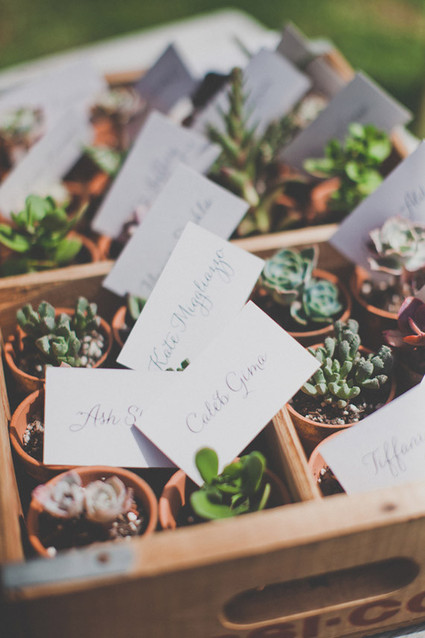 Mini plant escort cards Inspiration