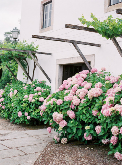 Vintage Portugal Wedding
