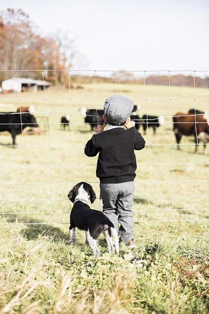 Old World Vintage Wedding Inspiration
