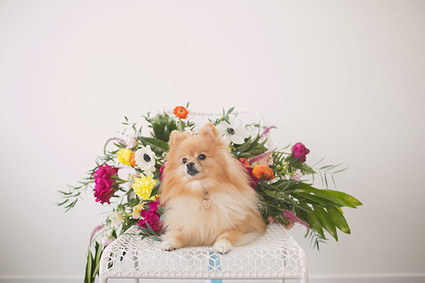 Modern Valentine's Day Wedding Inspiration