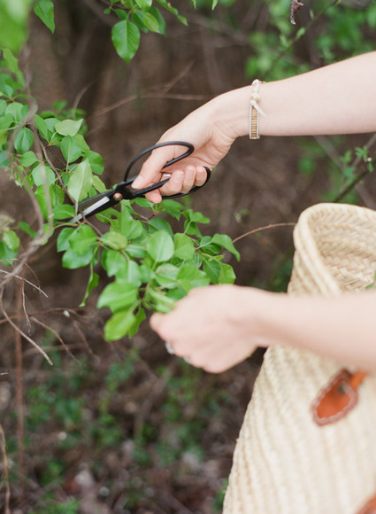 Foliage Inspiration