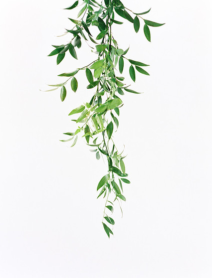 Modern and Whimsical Party Ideas