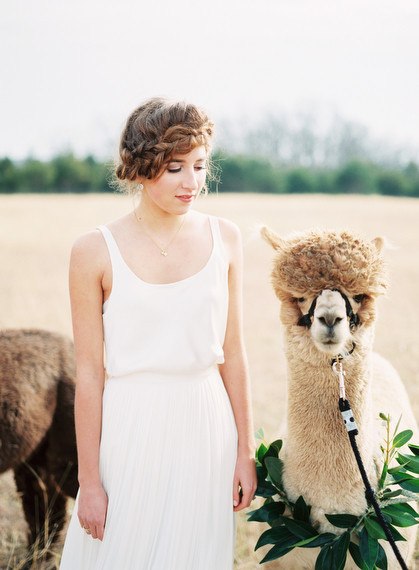 Alpaca Farm wedding inspiration