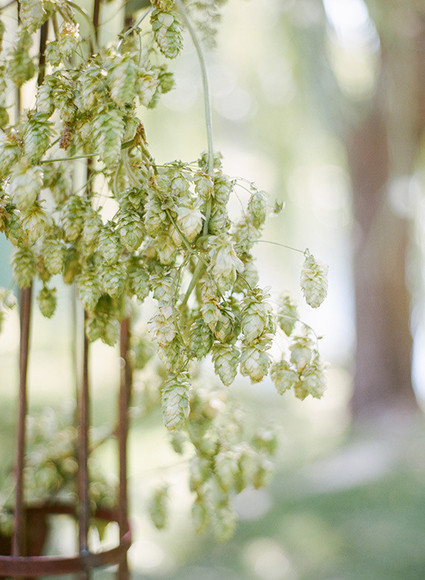 Flowers Inspiration