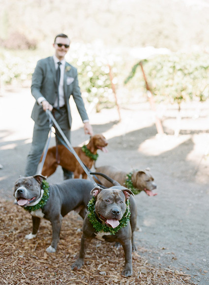 Groom Inspiration