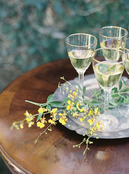 Wine Inspiration