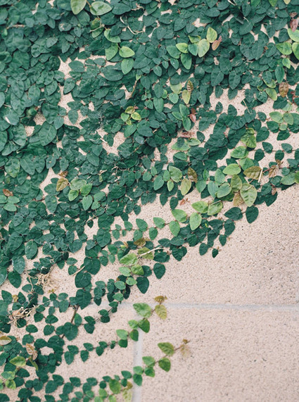 Greenery Inspiration
