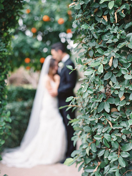Backyard wedding portrait