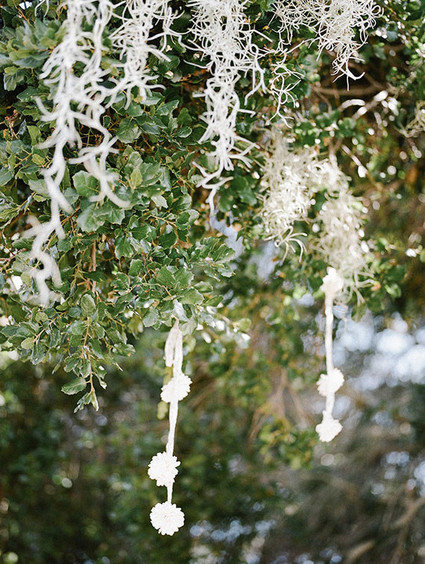 Lemon orchard greenery