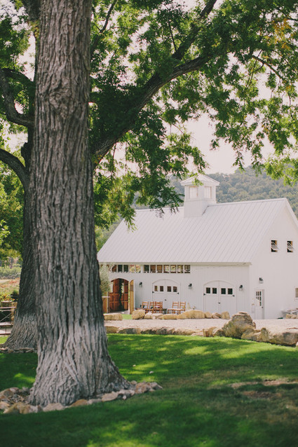 HammerSky Vineyards wedding