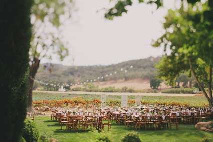 HammerSky Vineyards wedding