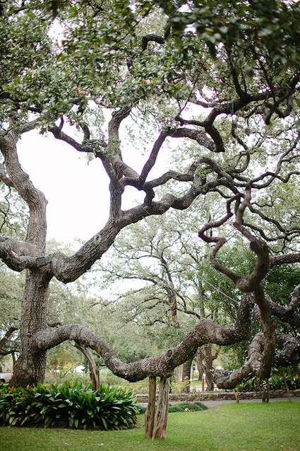 Garden winter wedding