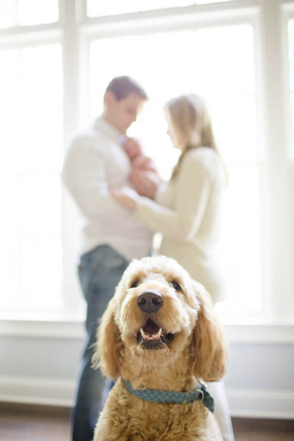 Light airy newborn photos