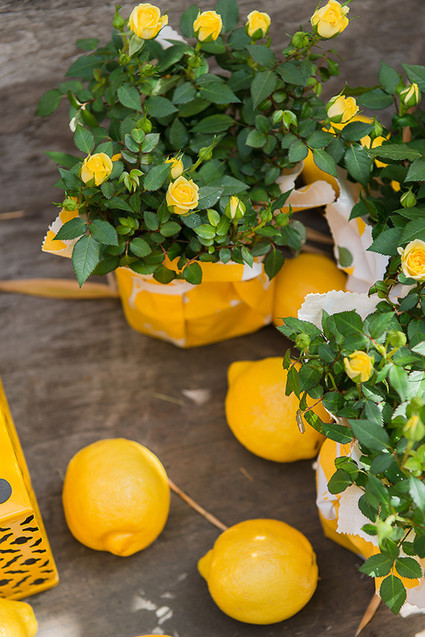 Yellow Backyard Baby Shower Inspiration