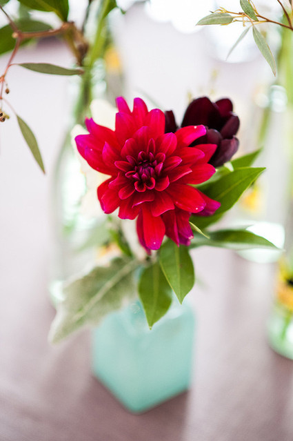 Red flower with blue vase