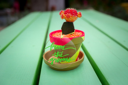 Neon cactus planter