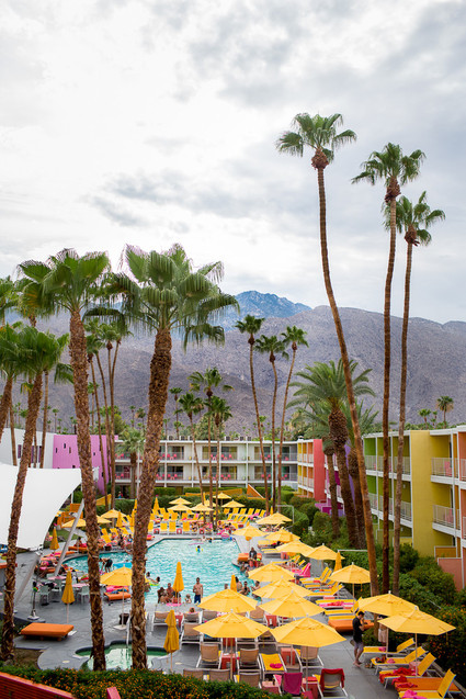 Saguaro Hotel Palm Springs Inspiration