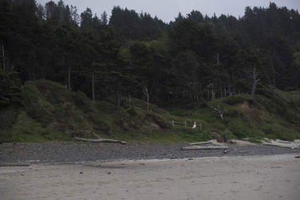 Oregon beach wedding